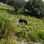Da Pietro 3* Calascibetta