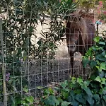 Bed & Breakfast Da Pietro