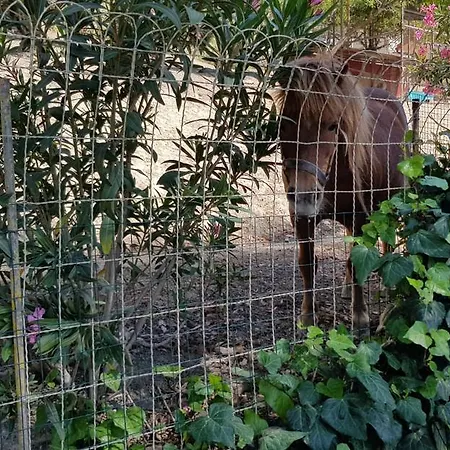 Bed & Breakfast Da Pietro