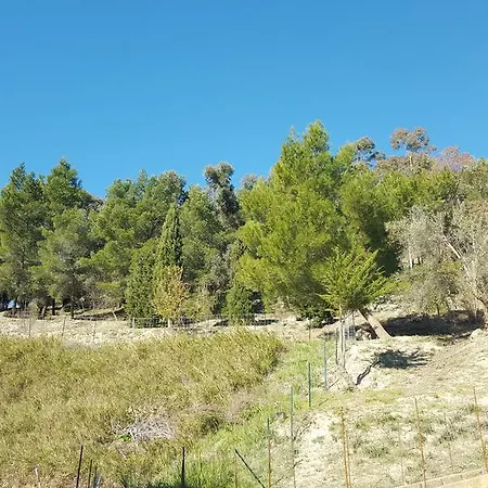 Bed and breakfast Da Pietro